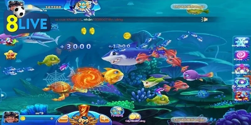 Thanh toán đổi tiền cá cược nhẹ nhàng nhờ momo lo hết 