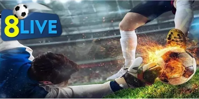 Tìm hiểu về các hình thức đánh kèo rung phổ biến