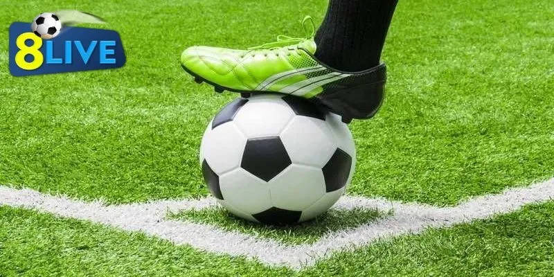 keo-bong-1_2-la-gi-bi-kip